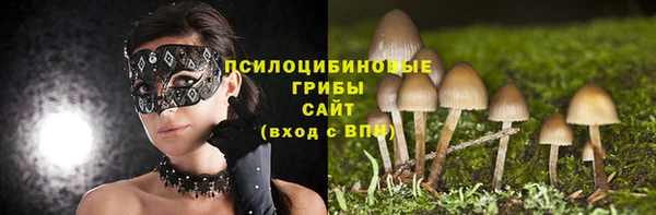 прущая мука Приозерск