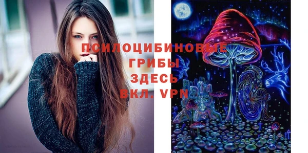 дурь Абаза