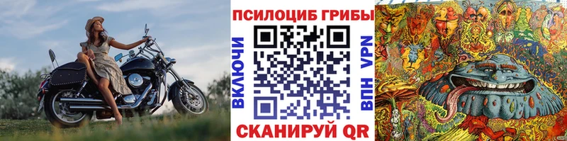 Галлюциногенные грибы Psilocybine cubensis  купить наркотик  Клинцы 