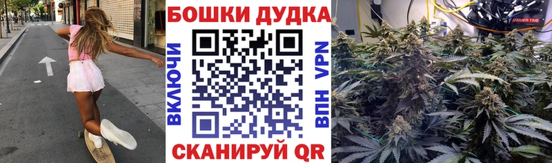 где купить   Клинцы  Бошки марихуана VHQ 